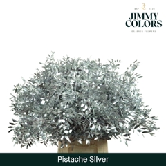 Pistacia Painted Metallic Silver + Glitter 40cm