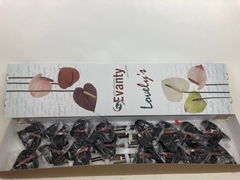 Anthurium Black Love 11cm Hd