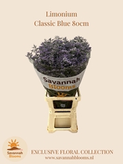Limonium Safora Classic Blue 80cm 50gr.