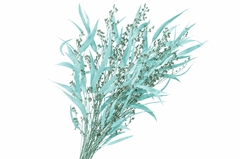 Eucalyptus Exotica Blue Per Bunch 70cm 100gr.