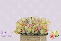 Rosa Pastel Mix In Bunch 35cm