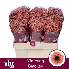 Chrysanth Santini Yin Yang Smokey 55cm 42gr.