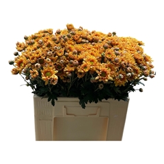 Chrysanth Spray Danielle Bronze 55cm 50gr.