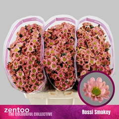 Chrysanth Santini Rossi Smokey 55cm 44gr.