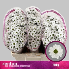 Chyrsanth Santini Floky 55cm 48gr.