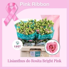 Eustoma Double Rosita Bright Pink 70cm