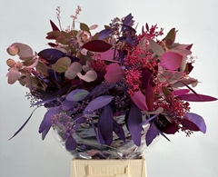 Eucalyptus Populus With Berry 65cm 200gr.