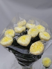Chrysanth Single Fred Shoesmith 70cm 130gr.