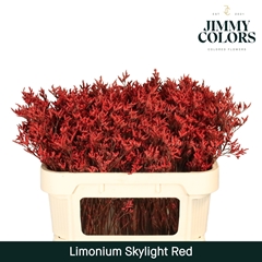 Limonium Painted Skylight Red 70cm 25gr.