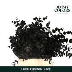 Eucalyptus Cinerea Painted Black Per Bunch 70cm 200gr.