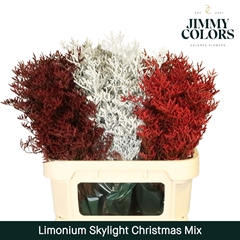 Limonium Painted Skylight Christmas Mix 80cm 30gr.