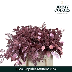 Eucalyptus Populus Painted Metallic Pink Per Bunch 60cm 200gr.