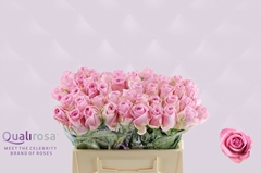 Rosa Heidi! 35cm