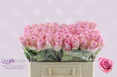 Rosa Heidi! 50cm