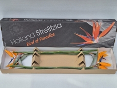 Strelitzia Reginae Flower 80cm 20cm