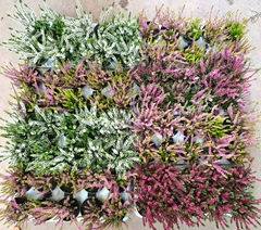Calluna Callu Nova Mix 4 Colours 10Ø 17cm