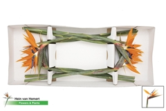 Strelitzia Reginae Flower 85cm 23cm