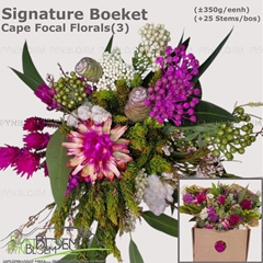 Brunia Cape Mix Bunch 40cm
