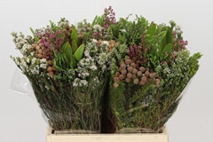 Protea Per Bunch 40cm