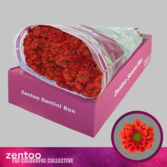 Chrysanth Santini Melissa 55cm 44gr.