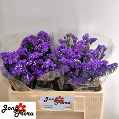 Limonium Sinuatum Crystal Dark Blue 50cm 20gr.