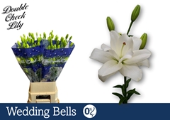 Lily La Weddingballs 80cm 3+