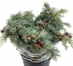 Coniferen Green 65cm