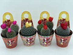 Cactus Mix 8Ø 10cm