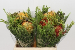 Bouquet Leucospermum Carroussel 2 Flowers 40cm