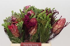 Protea Per Bunch 40cm