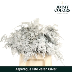 Asparagus Setaceus Painted Silver + Glitter 45cm