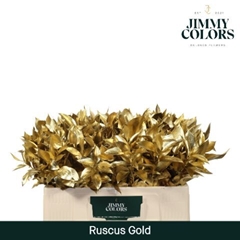 Ruscus Painted Hypophyllum Gold 50cm