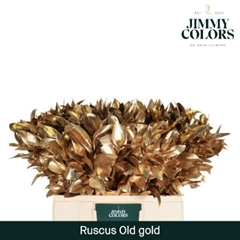 Ruscus Painted Hypophyllum Metallic Antique Gold 50cm