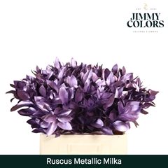 Ruscus Painted Hypophyllum Metallic Milka 50cm
