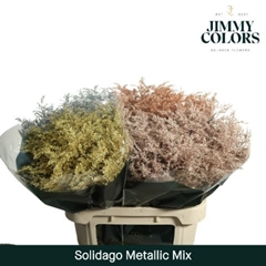 Solidago Painted Metallic Mix 70cm 25gr.