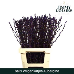 Salix Snow Flake Painted Aubergine 70cm