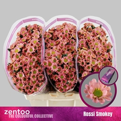 Chrysanth Santini Rossi Smokey 55cm 44gr.