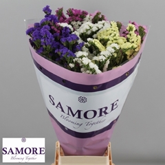 Limonium Sinuatum Mix 80cm 50gr.