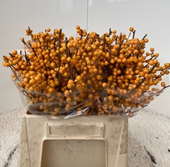 Ilex Verticillata Golden Verboom 40cm