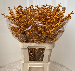 Ilex Verticillata Golden Verboom 90cm