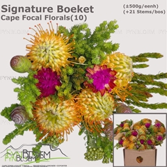 Protea Per Bunch 40cm