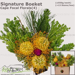 Protea Per Bunch 40cm
