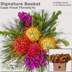 Protea Per Bunch 40cm