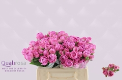 Rosa Spray Purple Bubbles 35cm 3+