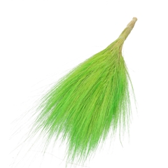 Dried Flowers Goat Grass 65-70cm