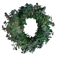 Preserved Wreath D35cm Eucalyptus Baby