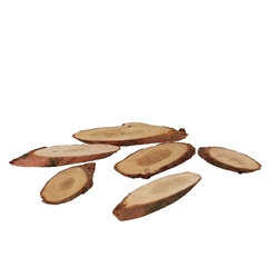 Dried Articles Wood Slice Pinewood 250g