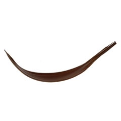 Dried Articles Coco 27-40cm X10