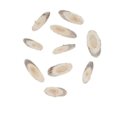 Dried Articles Wood Slice Pinewood 250g