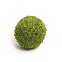 Dried Articles Moss Ball 15cm